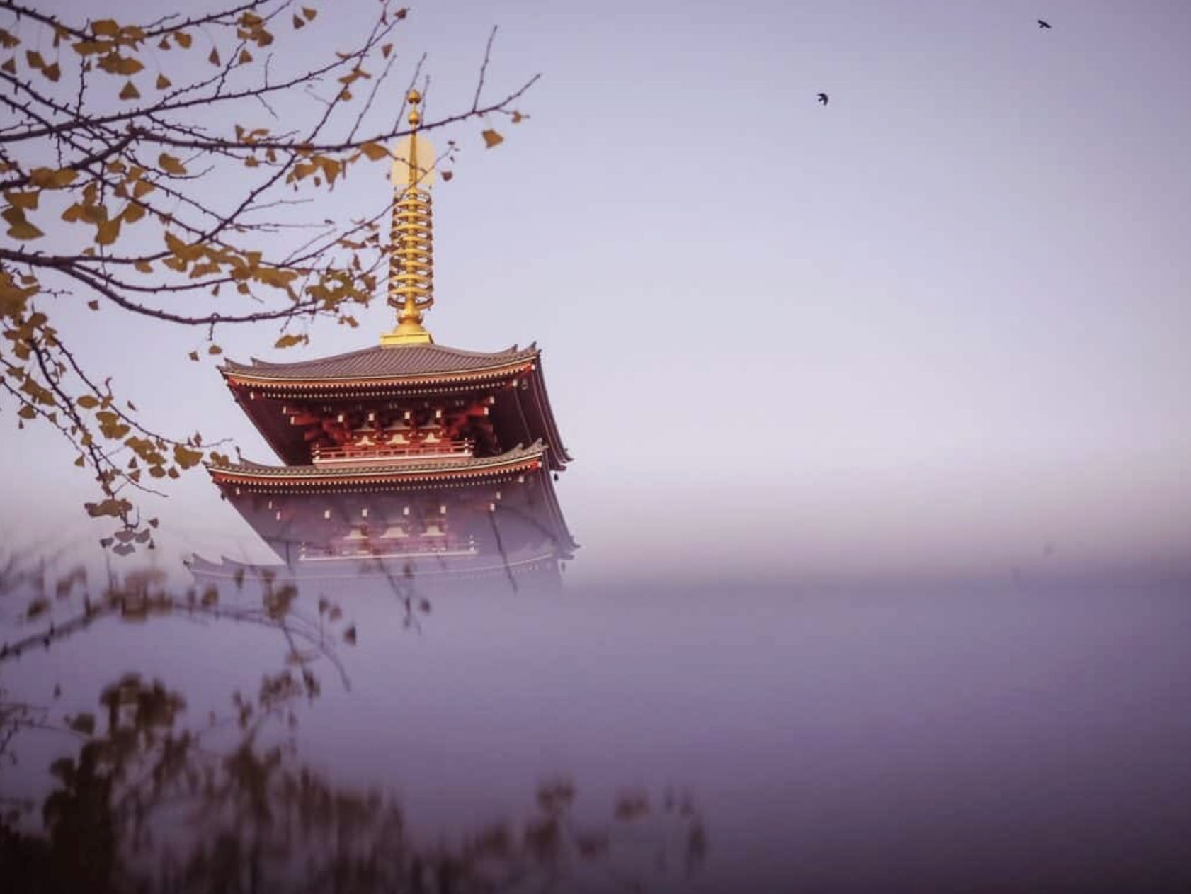 Panorama Tokio