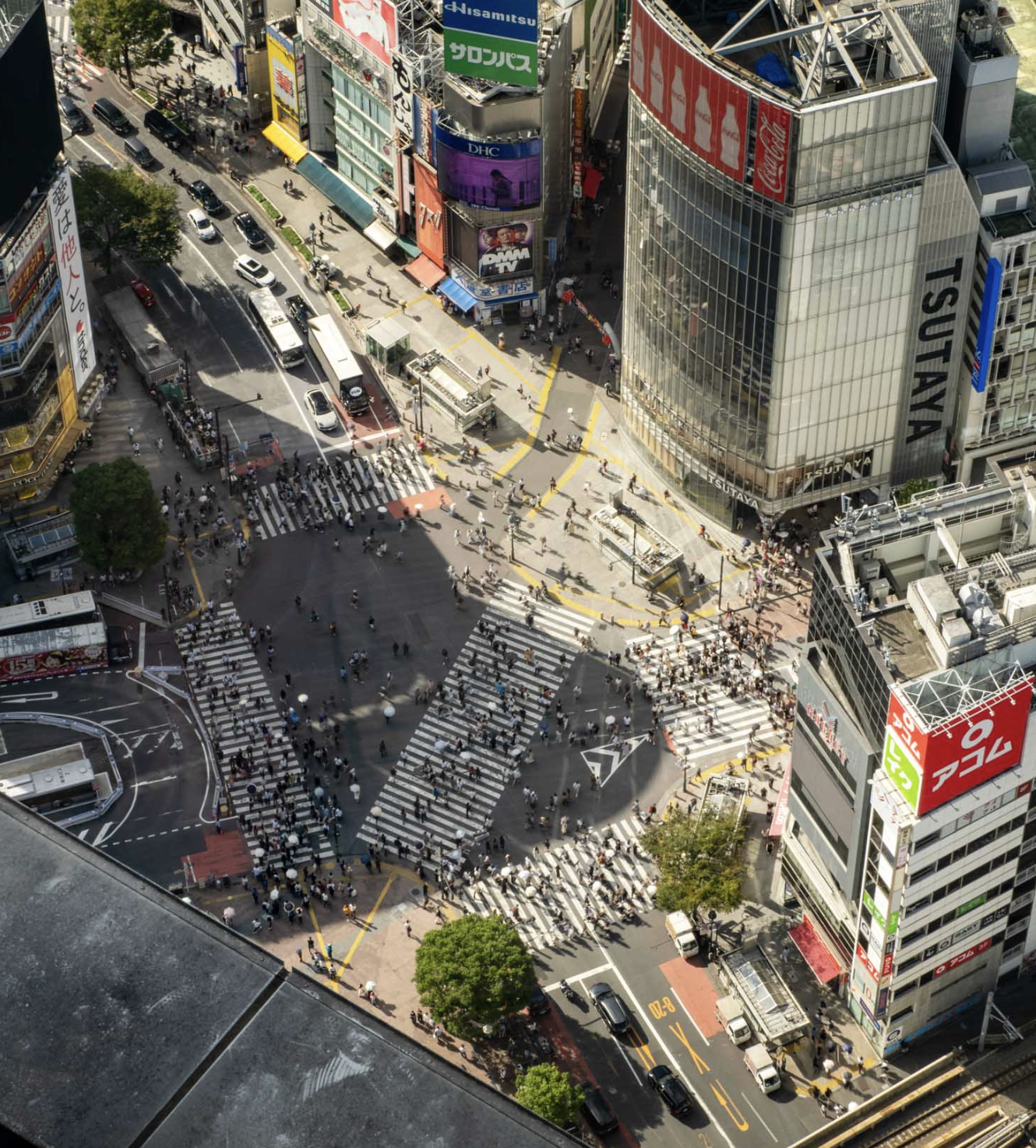 Shibuya Crossing